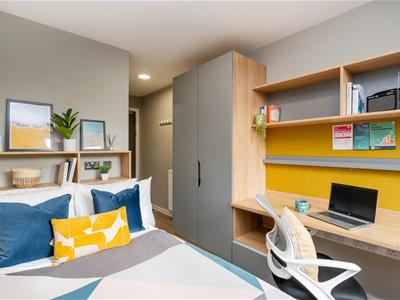 Picture 16